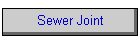 Sewer Joint